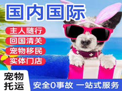 浪头空运公司国际宠物托运 【国